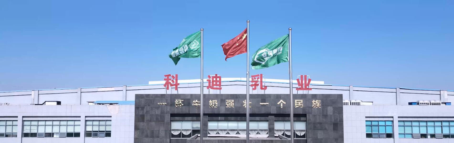 公司动态|龙8国际