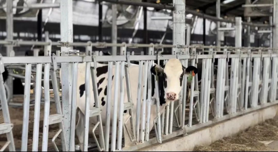 龙8-long8(国际)唯一官方网站